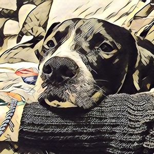 Meet your Posher, Alexandra